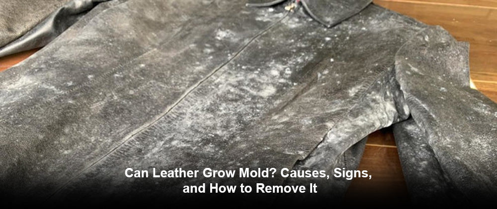 Can Leather Grow Mold? Causes, Signs, and How to Remove It