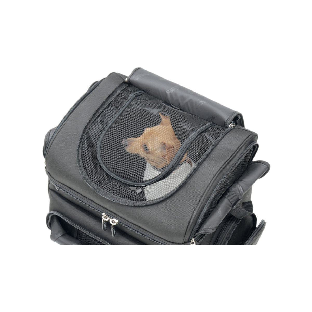 Pet Voyager