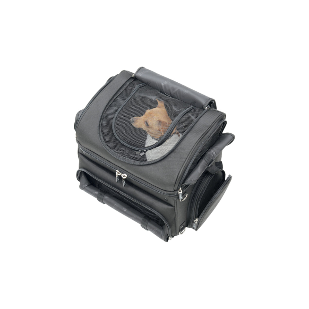 Pet Voyager