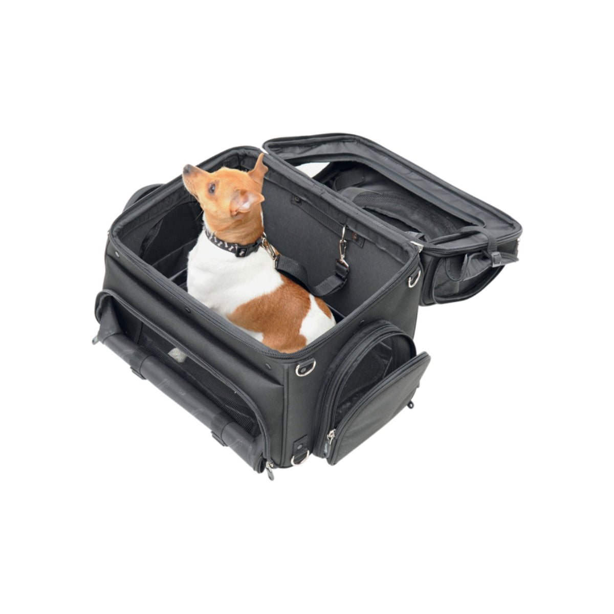 Pet Voyager