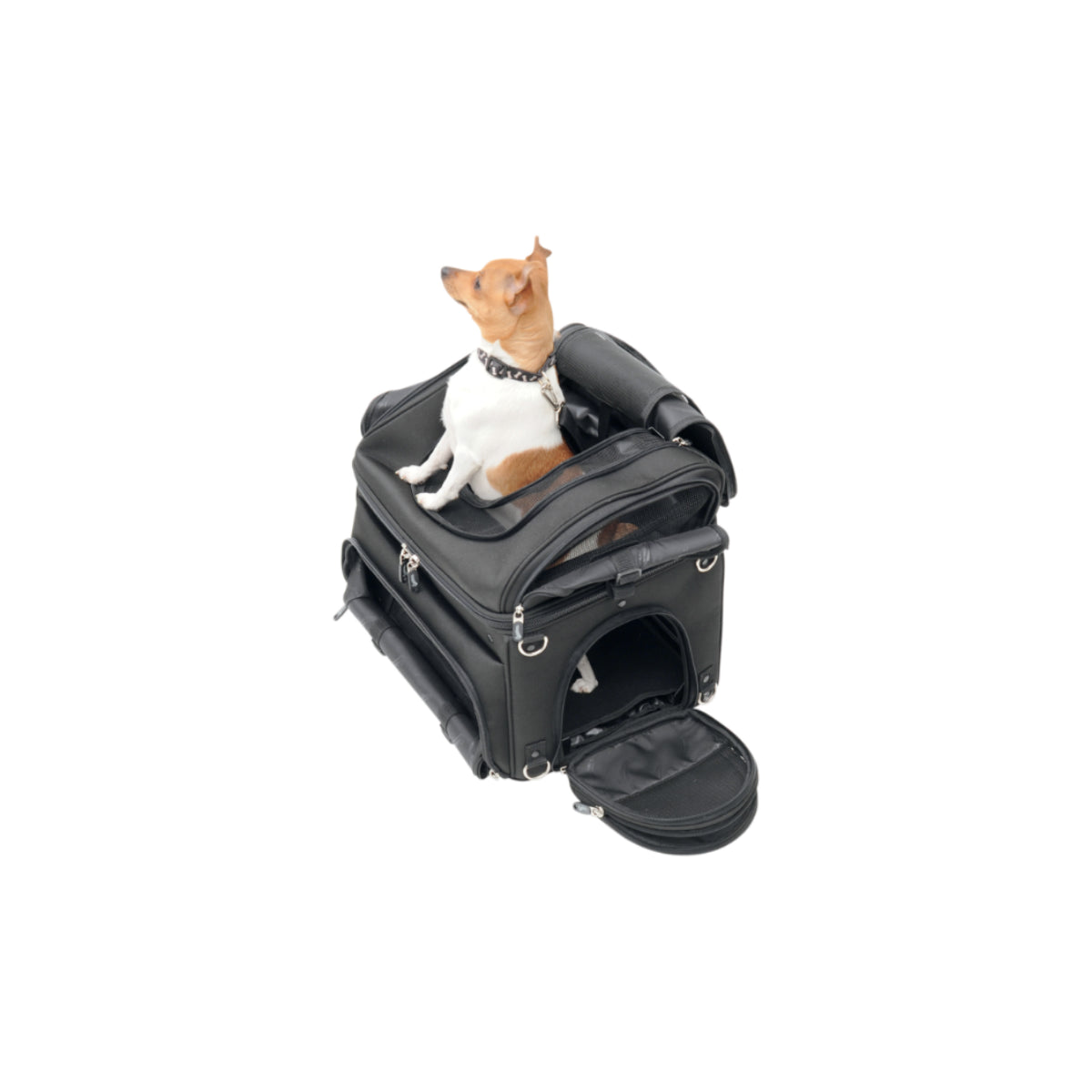 Pet Voyager