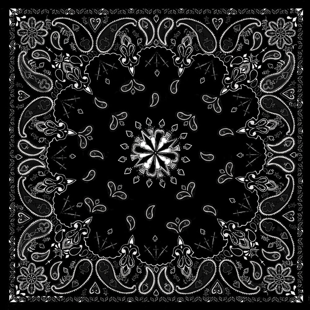 B001- Bandanna Black Paisley-Bandanas-Daniel Smart Mfg - Retail
