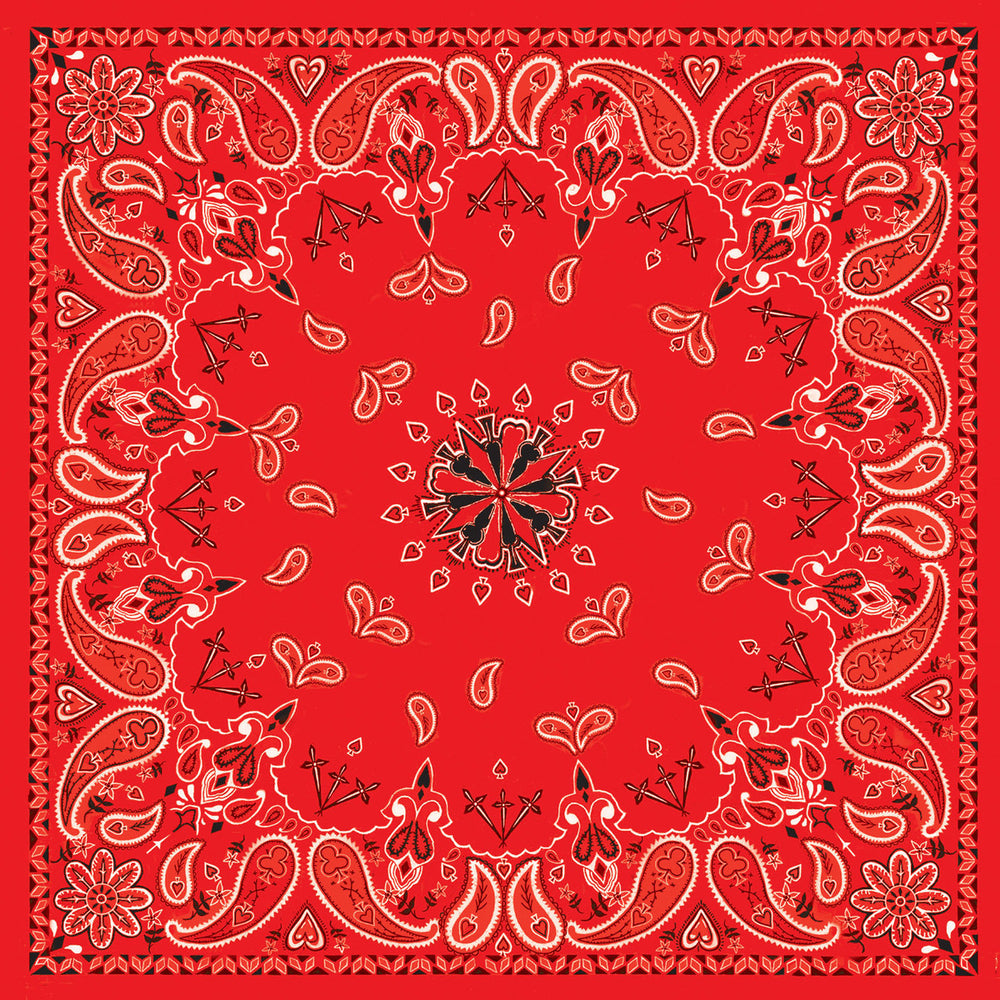B003- Bandanna Red Paisley-Bandanas-Daniel Smart Mfg - Retail