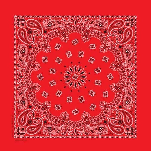 NT4401 Bandana Paisley Red-Bandanas-Daniel Smart Mfg - Retail