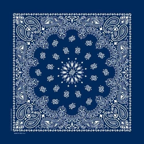 NT4402 Bandana Paisley Navy-Bandanas-Daniel Smart Mfg - Retail