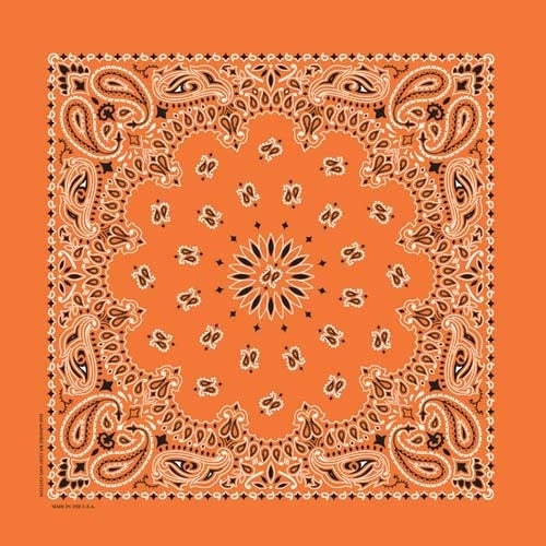 NT4404 Bandana Paisley Orange-Bandanas-Daniel Smart Mfg - Retail