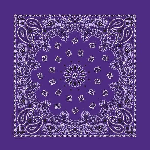 NT4406 Bandana Paisley Purple-Bandanas-Daniel Smart Mfg - Retail