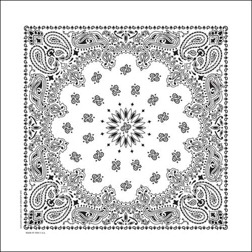 NT4409 Bandana Paisley White-Bandanas-Daniel Smart Mfg - Retail