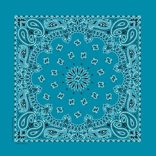 NT4412 Bandana Paisley Turquoise-Bandanas-Daniel Smart Mfg - Retail
