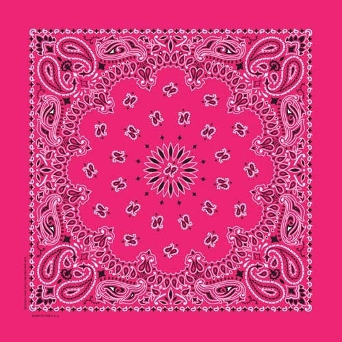 NT4413 Bandana Paisley Hot Pink-Bandanas-Daniel Smart Mfg - Retail