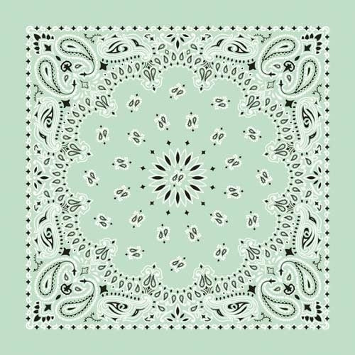 NT4414 Bandana Paisley Mint-Bandanas-Daniel Smart Mfg - Retail