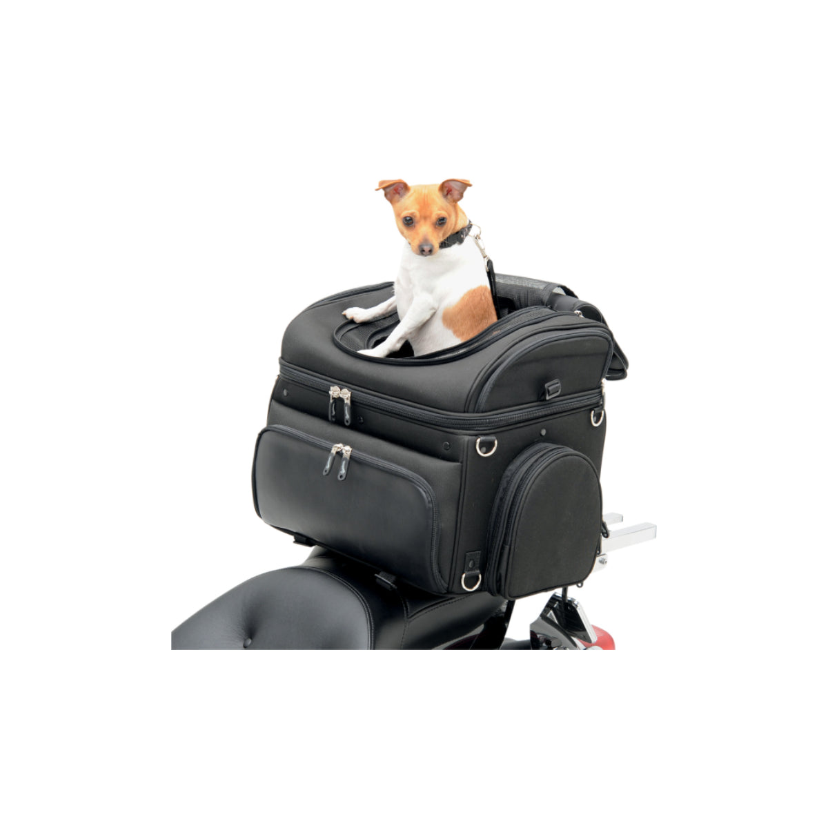 Pet Voyager