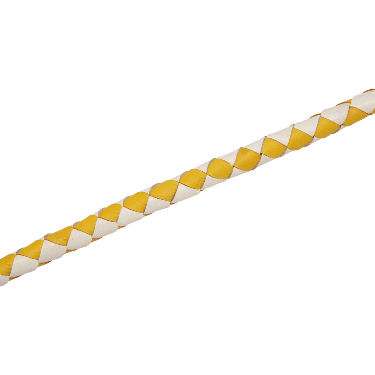 MOTORCYCLE GET-BACK WHIP – Yellow/White