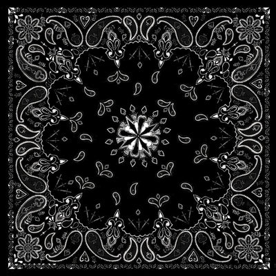 B001- Bandanna Black Paisley-Bandanas-Daniel Smart Mfg - Retail