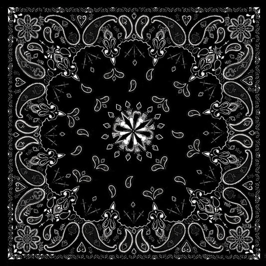 B001- Bandanna Black Paisley-Daniel Smart Mfg - Retail