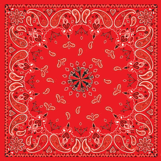 B003- Bandanna Red Paisley-Daniel Smart Mfg - Retail