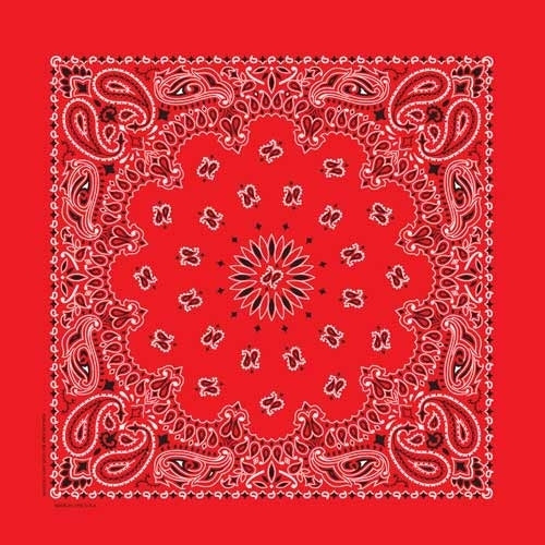 BD2500 Bandana Paisley Red-Daniel Smart Mfg - Retail