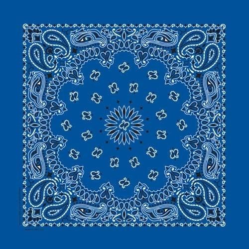 BD2501 Bandana Paisley Royal-Daniel Smart Mfg - Retail