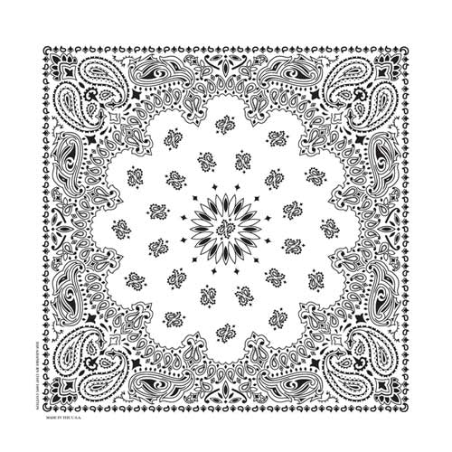 BD2504 Bandana Paisley White-Bandanas-Daniel Smart Mfg - Retail