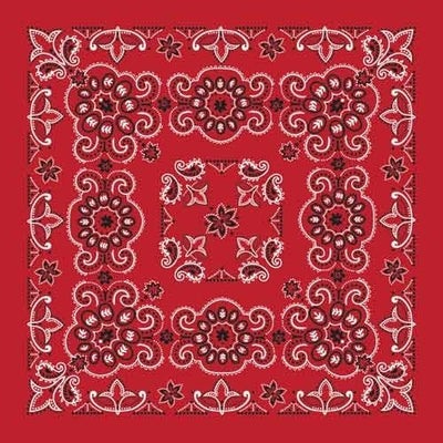 BD2507 Bandana Texas Paisley Red [27" x27"]-Bandanas-Daniel Smart Mfg - Retail
