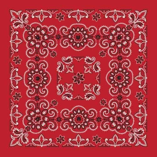 BD2507 Bandana Texas Paisley Red [27" x27"]-Daniel Smart Mfg - Retail