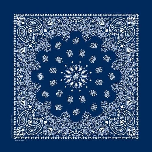 NT4402 Bandana Paisley Navy-Daniel Smart Mfg - Retail