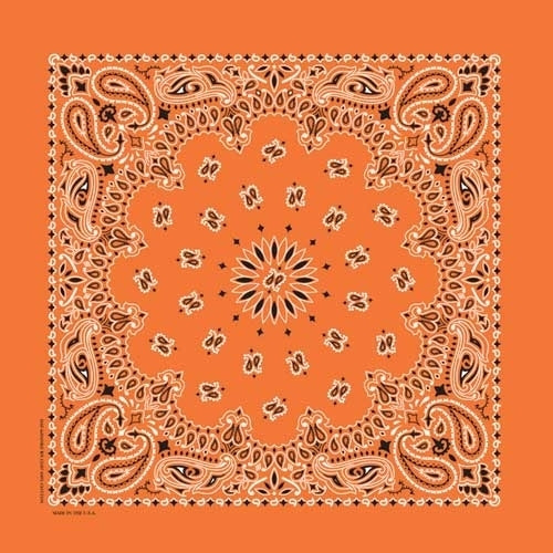 NT4404 Bandana Paisley Orange-Daniel Smart Mfg - Retail