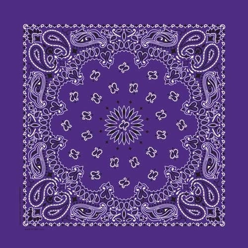 NT4406 Bandana Paisley Purple-Daniel Smart Mfg - Retail