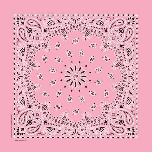 NT4408 Bandana Paisley Light Pink-Daniel Smart Mfg - Retail