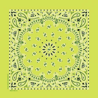 NT4410 Bandana Paisley Lime-Bandanas-Daniel Smart Mfg - Retail
