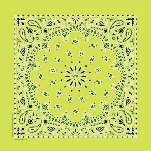 NT4410 Bandana Paisley Lime-Daniel Smart Mfg - Retail