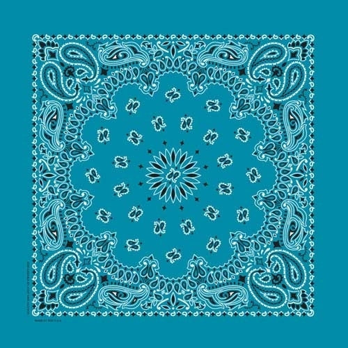 NT4412 Bandana Paisley Turquoise-Daniel Smart Mfg - Retail