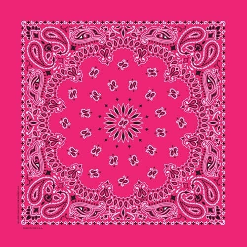 NT4413 Bandana Paisley Hot Pink-Daniel Smart Mfg - Retail