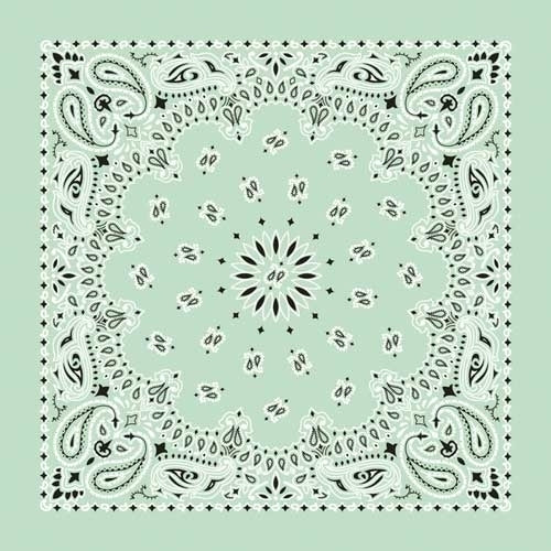 NT4414 Bandana Paisley Mint-Daniel Smart Mfg - Retail