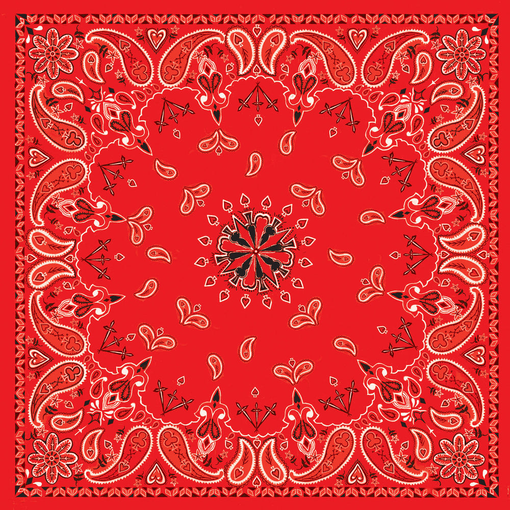 B003- Bandanna Red Paisley